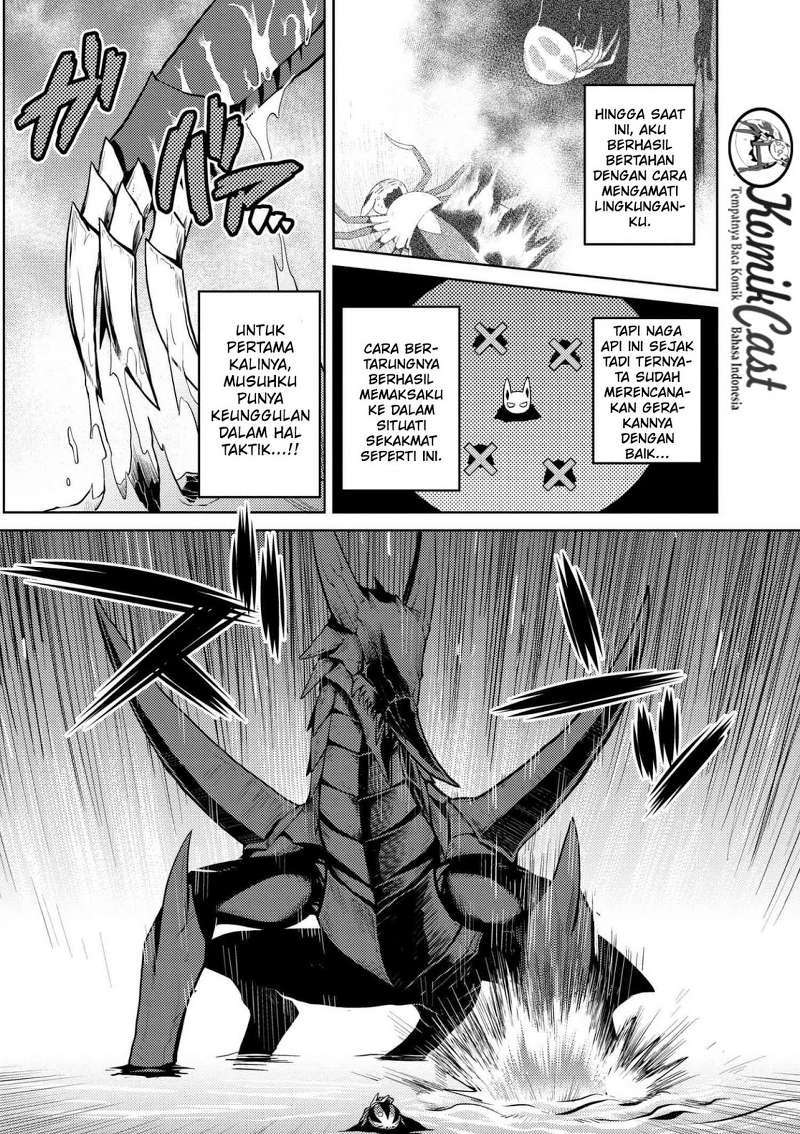 Kumo desu ga, Nani Ka?